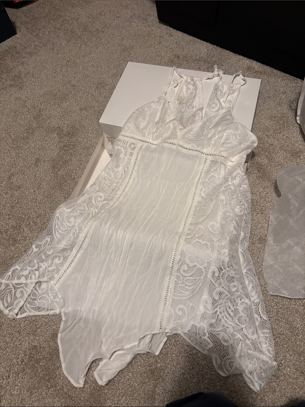 Linea Donatella White Lace Chemise with Sheer Panels